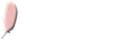 написать нам
